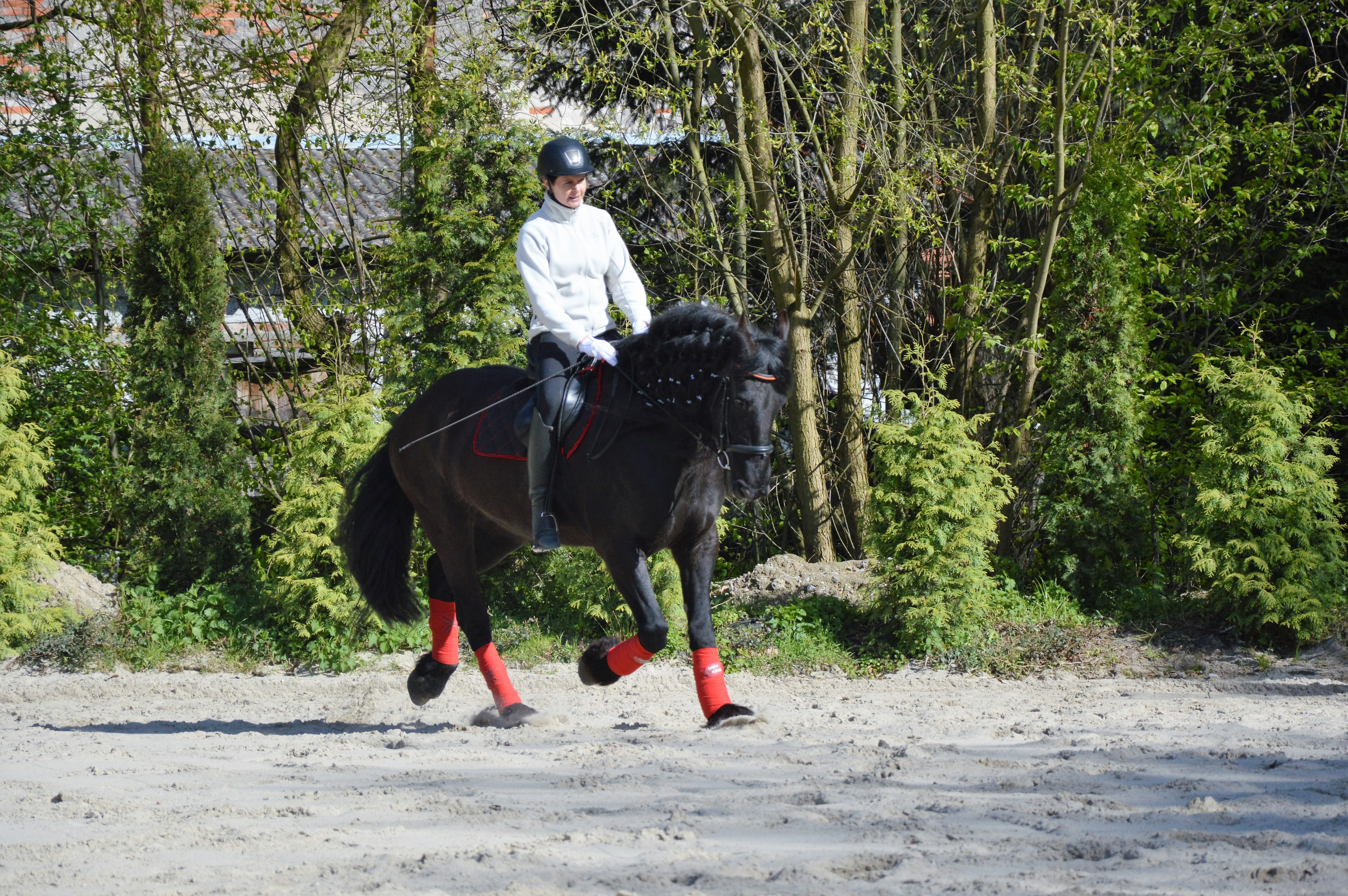 o kontakcie #dressage_pleasure